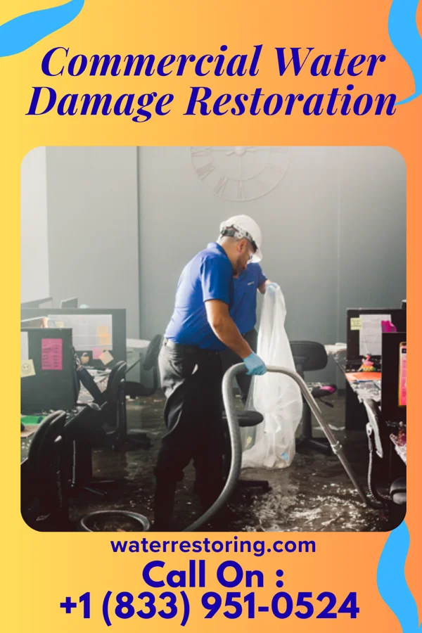 Commercial Water Damage Restoration in Cutlerville, MI