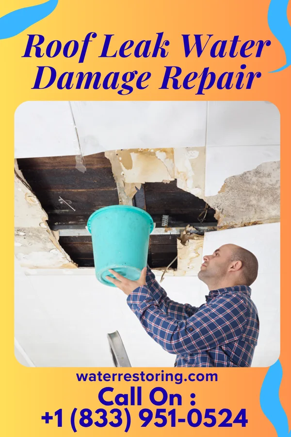 Roof Leak Water Damage Repair in Cutlerville, MI